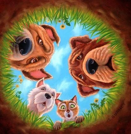 CLiF Storytelling Book Giveaway with John Steven Gurney